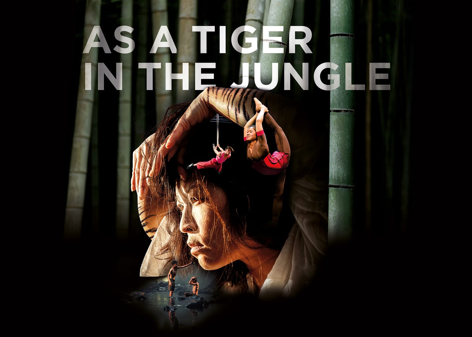 As A Tiger In The Jungle Circus